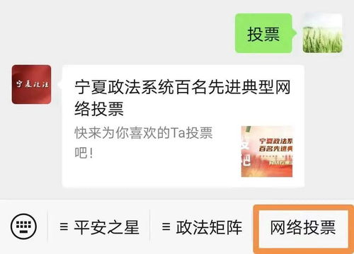 寧夏政法系統(tǒng)百名先進(jìn)典型網(wǎng)絡(luò)投票活動(dòng)正式啟動(dòng)，誠邀公眾踴躍參與